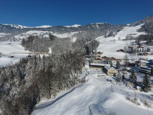 冬天的Family & Mountain Lodge C'est la Vie