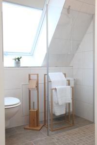 ein Badezimmer mit Glasdusche und Toilette in der Unterkunft Schwaben Apartment in Oberboihingen