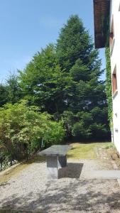 a stone bench sitting in front of a tree at Chalet La Zaubette 8 personnes in La Bresse