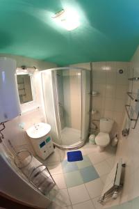 a bathroom with a shower and a toilet and a sink at Apartmanovy dom Cottage in Liptovský Ján