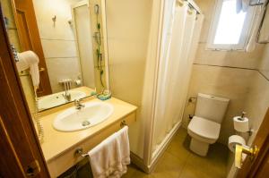 a bathroom with a toilet, sink, and shower at Hostal Real in Plasencia