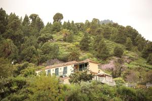 a house on the side of a hill with trees at Große Finca 19Jh, Pool, Terrasse, nahe Santa Cruz in Santa Cruz de la Palma