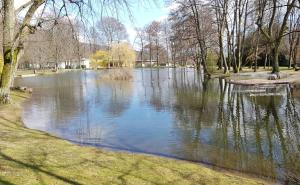 a large pond in the middle of a park at la verte vallée 2 in Munster