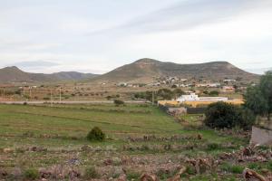 uitzicht op een veld met bergen op de achtergrond bij Vivienda Rural Alba in Los Albaricoques