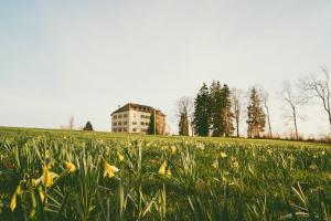 Fotografie z fotogalerie ubytování Hôtel de la Chaux-d'Abel v destinaci La Ferrière