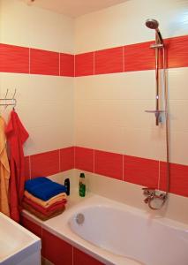 チェスキー・クルムロフにあるApartmán Marieの赤と白のタイルを使用したバスルーム(バスタブ付)
