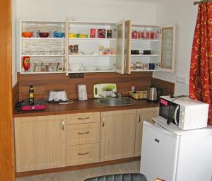 eine Küche mit Spüle und Kühlschrank in der Unterkunft Apartmán Marie in Český Krumlov + 17 Fotos