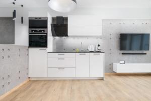 Kuchyňa alebo kuchynka v ubytovaní Venezia Apartment