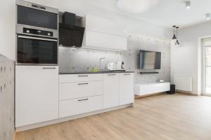 Kuchyňa alebo kuchynka v ubytovaní Venezia Apartment