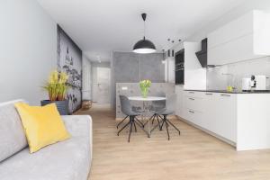 Kuchyňa alebo kuchynka v ubytovaní Venezia Apartment