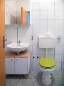 a bathroom with a green toilet and a sink at Apartment Stana in Novi Vinodolski +27 photos