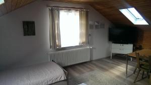 TV a/nebo společenská místnost v ubytování Pension Schlafstuhl + 3 fotografie