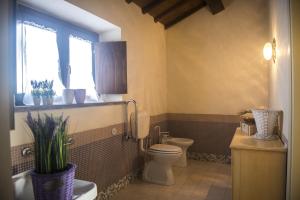 un bagno con un water, un lavandino e una finestra di Agriturismo Lago di Mezzano a Valentano Altre 233 foto