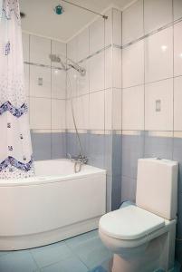 キーウにあるApartments near Khreshchatykのバスルーム(トイレ、バスタブ、シャワー付)