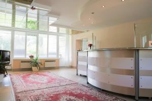 a large kitchen with a counter and a rug at Visagino parkas in Visaginas