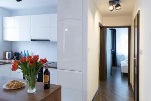 Kuchyňa alebo kuchynka v ubytovaní Apartament Moniuszki by Your Freedom