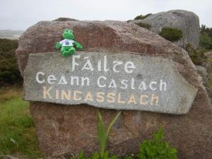 KincasslaghにあるTeach Taighの岩の上に座る熊