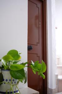 Φωτογραφία από το άλμπουμ του A sud Holiday House σε Polignano a Mare