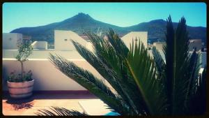 a balcony with two plants and a mountain in the background at Casa Nettuno Favignana in Favignana
