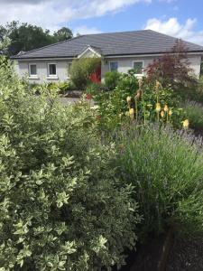Zahrada ubytování A Selection of Self Catering Holiday Homes at Kilcloon Cottages