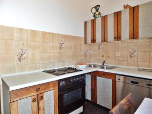 Kuchyň nebo kuchyňský kout v ubytování Apartment Kovačić