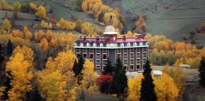 Gallery image of Black Forest Hotel in Savsat