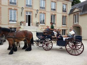 PierryにあるL'Ecurie des Ardennaisの馬車に乗る人々