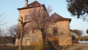 un viejo edificio de ladrillo con un árbol delante de él en Le Mas de Cascabel, en Causse et Diege