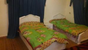 1 Schlafzimmer mit 2 Betten und grüner Decke in der Unterkunft Octobar City Villa in Kairo