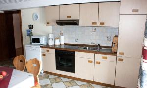 eine Küche mit einer Spüle und einer Mikrowelle in der Unterkunft Ferienwohnung Haus Franziska in Neuschönau