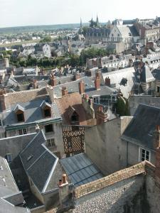 una vista aérea de una ciudad con casas y tejados en La Tour Beauvoir, en Blois