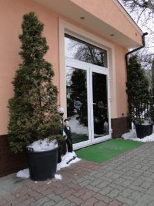 a house with a christmas tree in front of it at Pokoje Hotelowe Dux in Łódź