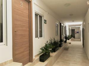 a corridor of an office building with potted plants at Apartamentos Calypso in Punta Umbría