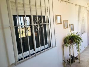 a iron gate in a hallway with a plant at Apartamentos Calypso in Punta Umbría