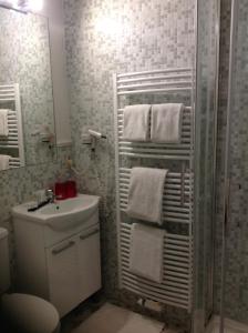 a bathroom with a sink and a mirror and towels at Hotel Botaniek in Bruges