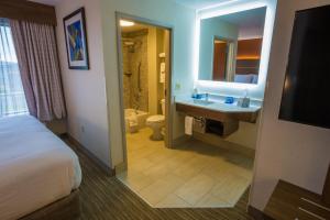 Koupelna v ubytování Holiday Inn Express Hotel & Suites Pasco-TriCities by IHG