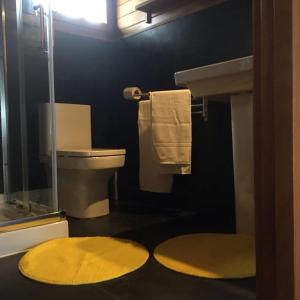 een badkamer met een toilet en twee tapijten op de vloer bij Landecoira in Sequeiro