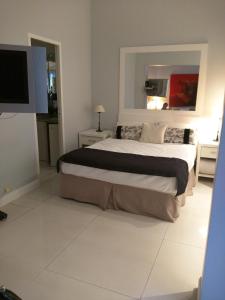 1 dormitorio con 1 cama grande y TV en Recoleta Classic en Buenos Aires