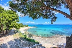 a view of a beach with trees and the ocean at Apartments & Rooms Seaside in Kaštela