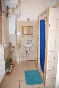 a bathroom with a sink and a shower at Régiposta Apartman in Miskolc