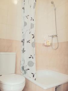a bathroom with a toilet and a shower curtain at Апартаменты на Героев-Чернобыльцев 27 in Poltava