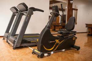 Fitness centrum a/nebo fitness zařízení v ubytování Elsenau Hotel