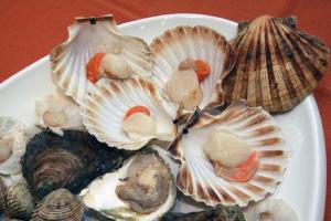 a plate of oysters and other seafood on a table at Apartman Sole in Karigador +57 photos