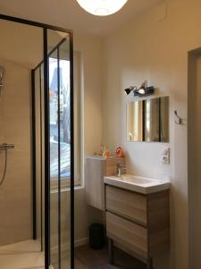 a bathroom with a sink and a shower at Appartement Erik Satie in Honfleur