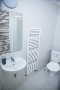 uma casa de banho branca com um lavatório e um WC em Budget Apartment em Praga