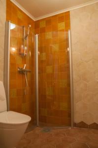 y baño con ducha y aseo. en Bikupan, en Tegneby