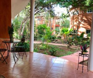 Zahrada ubytování Eco-Hotel Nueva Altia