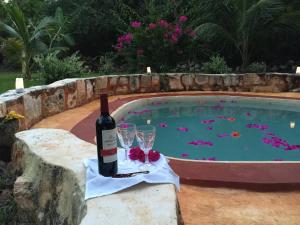 Eco-Hotel Nueva Altia في Santa Elena: زجاجة من النبيذ وكأسين بجوار حمام سباحة