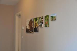 Fotografie z fotogalerie ubytování Bed & Breakfast Vieulif v destinaci Moniga