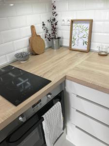 Kuchyňa alebo kuchynka v ubytovaní SC design Home Apartman